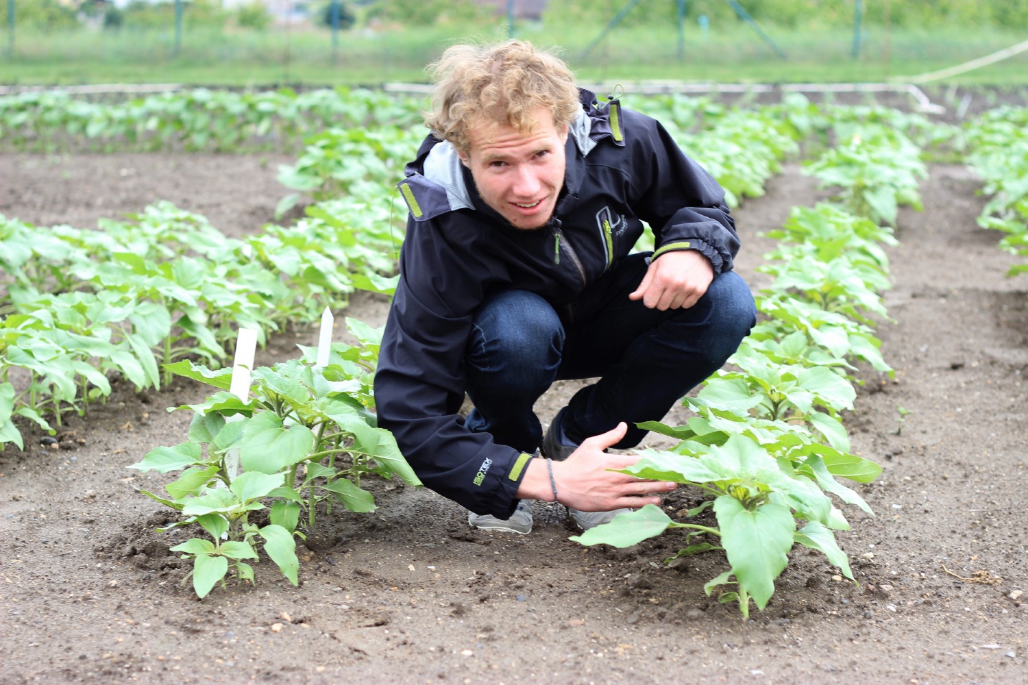 Foto von einem Kamaro in der Hocke in einer Feldreihe. Mit einem Arm misst er die Breite für den Roboter. Er schaut freundlich in die Kamera