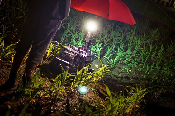 Beteigeuze fährt mit Scheinwerfer und Regenschirm bei Nacht duchs Maisfeld