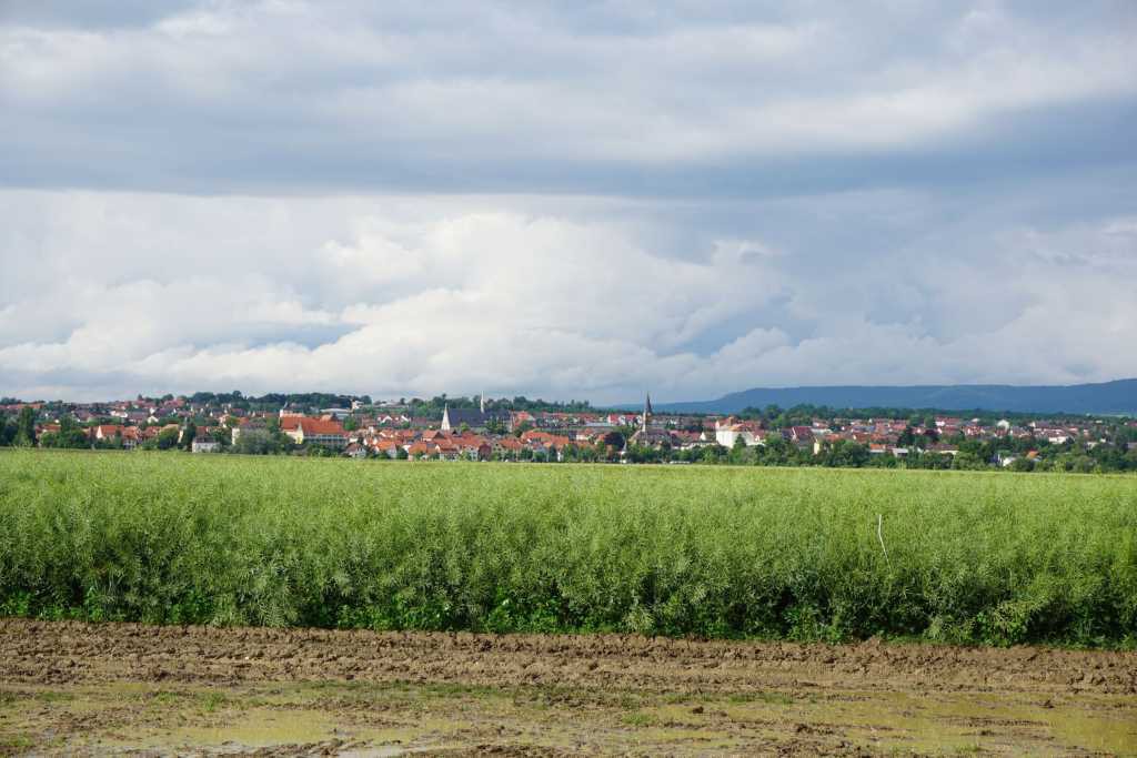 Bild von einem nahegelegenen Ort