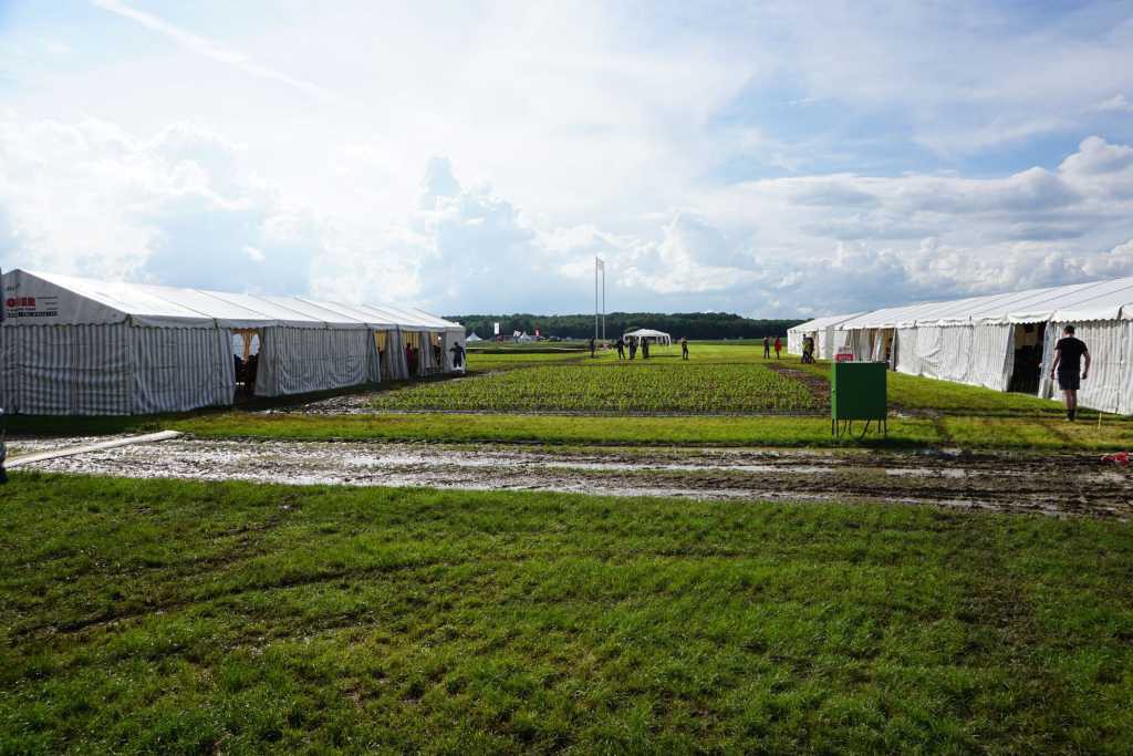 das Testfeld am Morgen