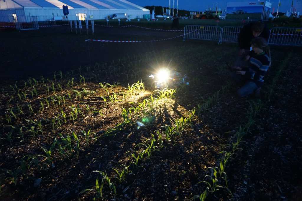 Beteigeuze fährt am späten Abend durch das Maisfeld und leuchtet sich selbst den Weg
