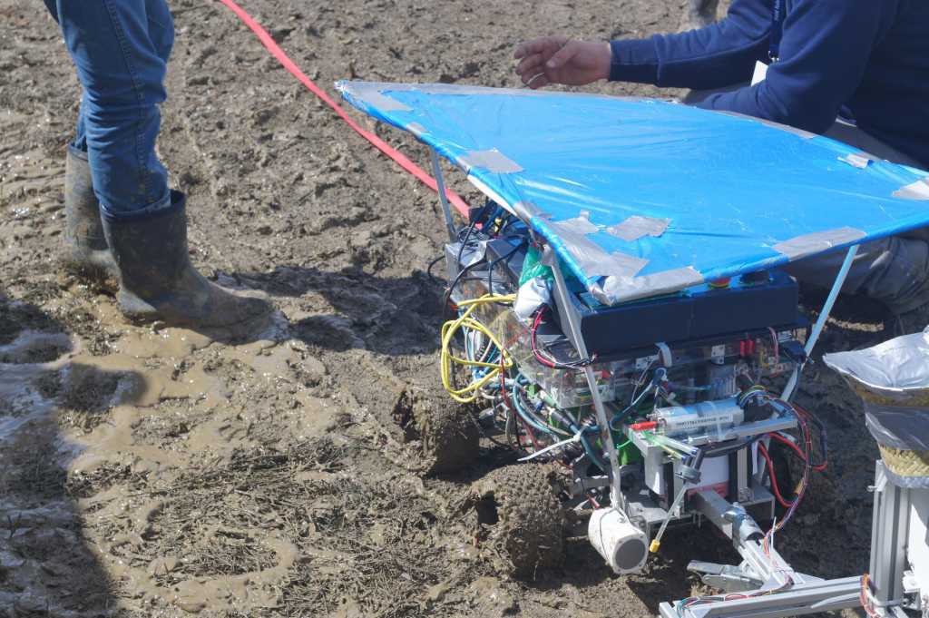 Beteigeuze steht im Matsch und hat ein Sonnensegel als Regenschutz