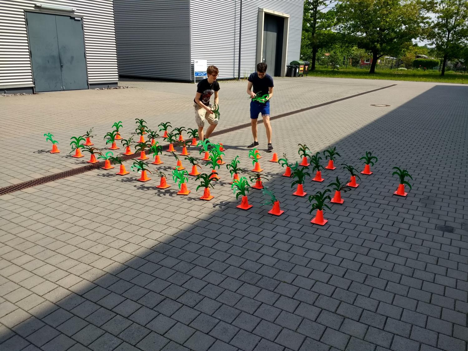 aufbau der Testpflanzen