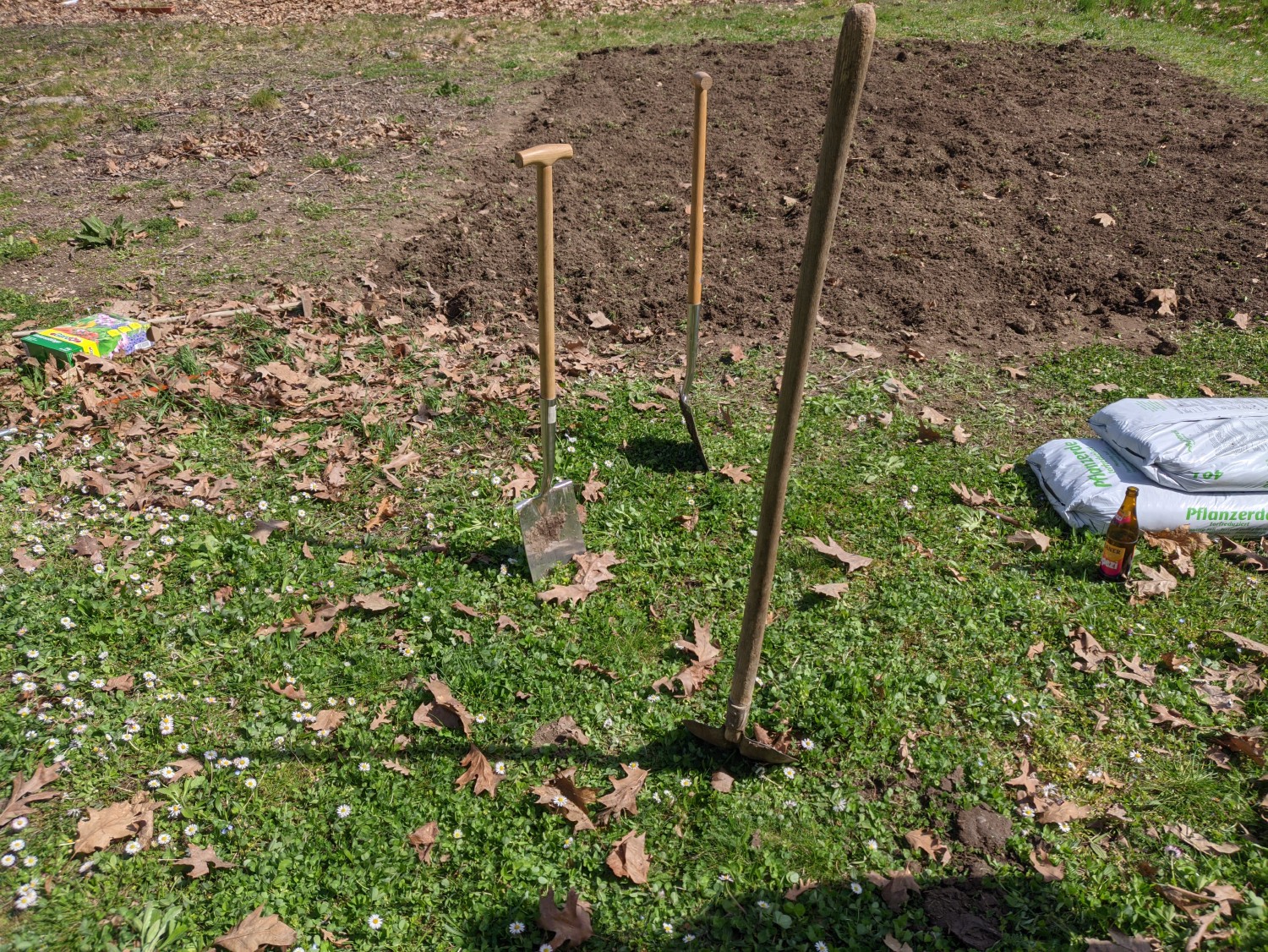 The dug up field with a few shovels in the foreground