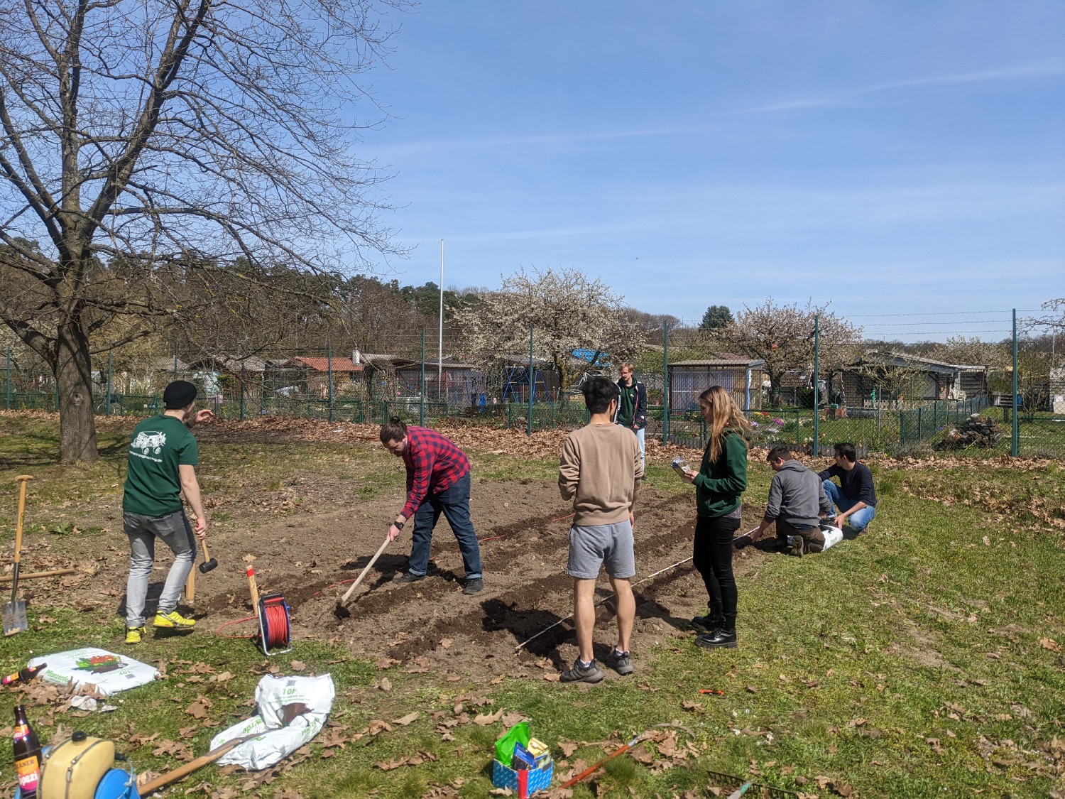 The rows are measured to be as straight as possible and have a 75 cm distance, like on real fields