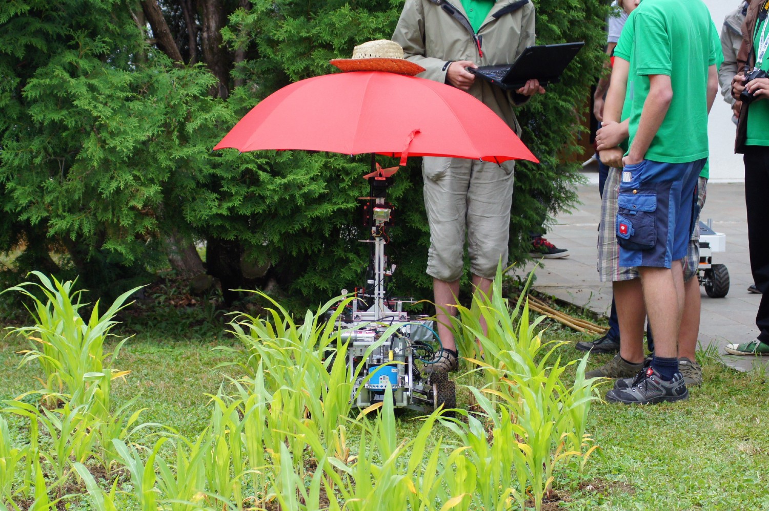 Beteigeuze mit einem roten Regenschirm als Sonnen- und Regenschutz fährt durch das Maisfeld des Field Robot Events 2015